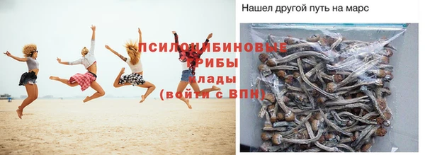 мет Бородино