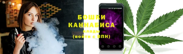мет Бородино