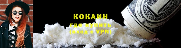 мет Бородино