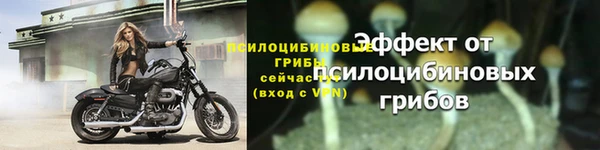 мет Бородино