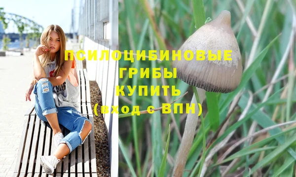 мет Бородино