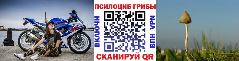 дарк нет Telegram  Трёхгорный  Псилоцибиновые грибы мицелий 